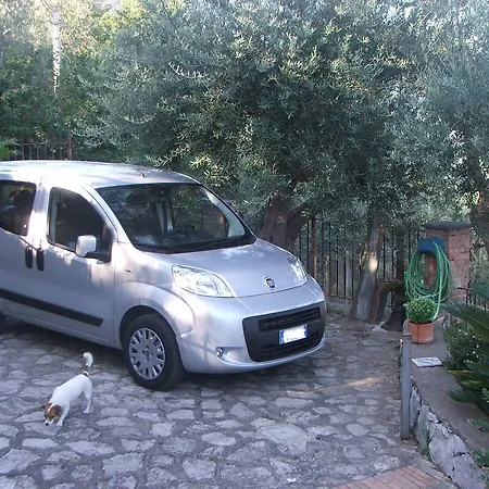 度假居 Villetta Surriento 索伦托