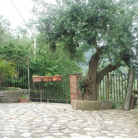 Villetta Surriento 索伦托